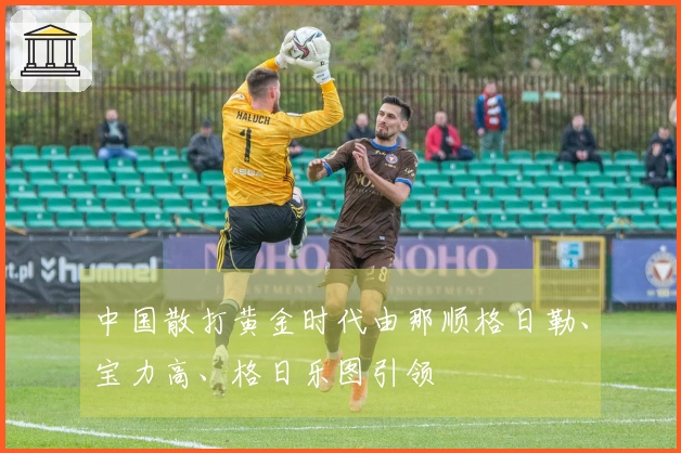 中国散打黄金时代由那顺格日勒、宝力高、格日乐图引领