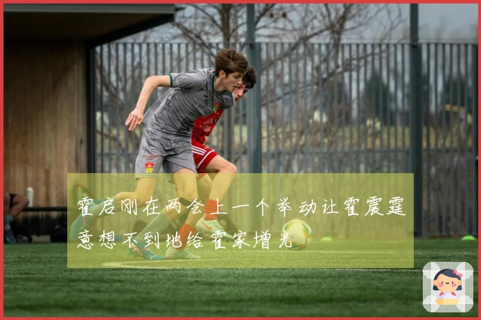 霍启刚在两会上一个举动让霍震霆意想不到地给霍家增光