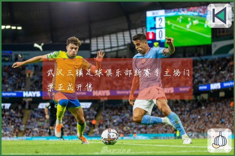 武汉三镇足球俱乐部新赛季主场门票正式开售